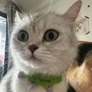 🐟爱吃鱼的猫🐈钓友头像