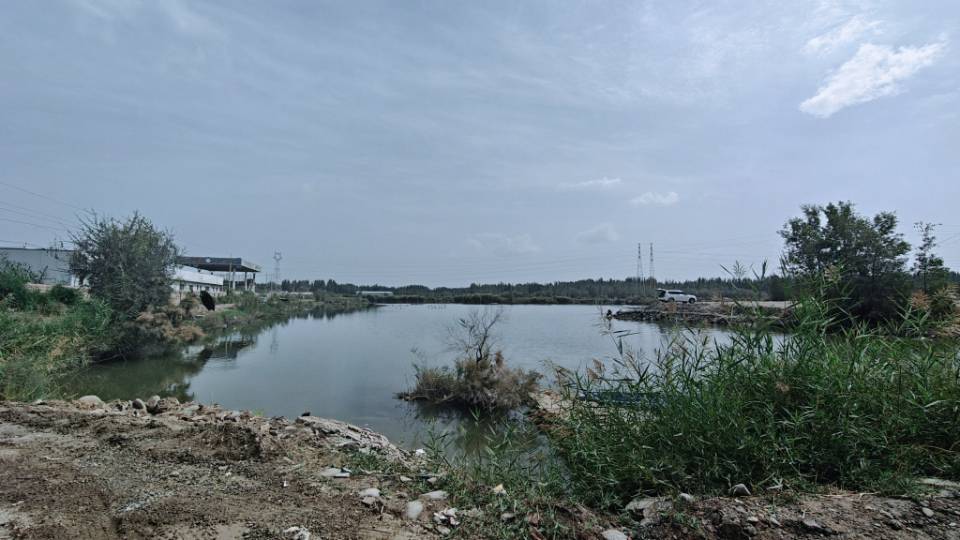 小鱼鲜垂钓园钓场环境缩略图