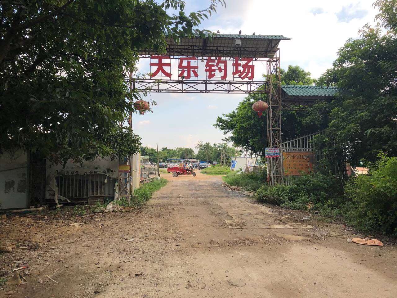 天乐钓场钓场环境