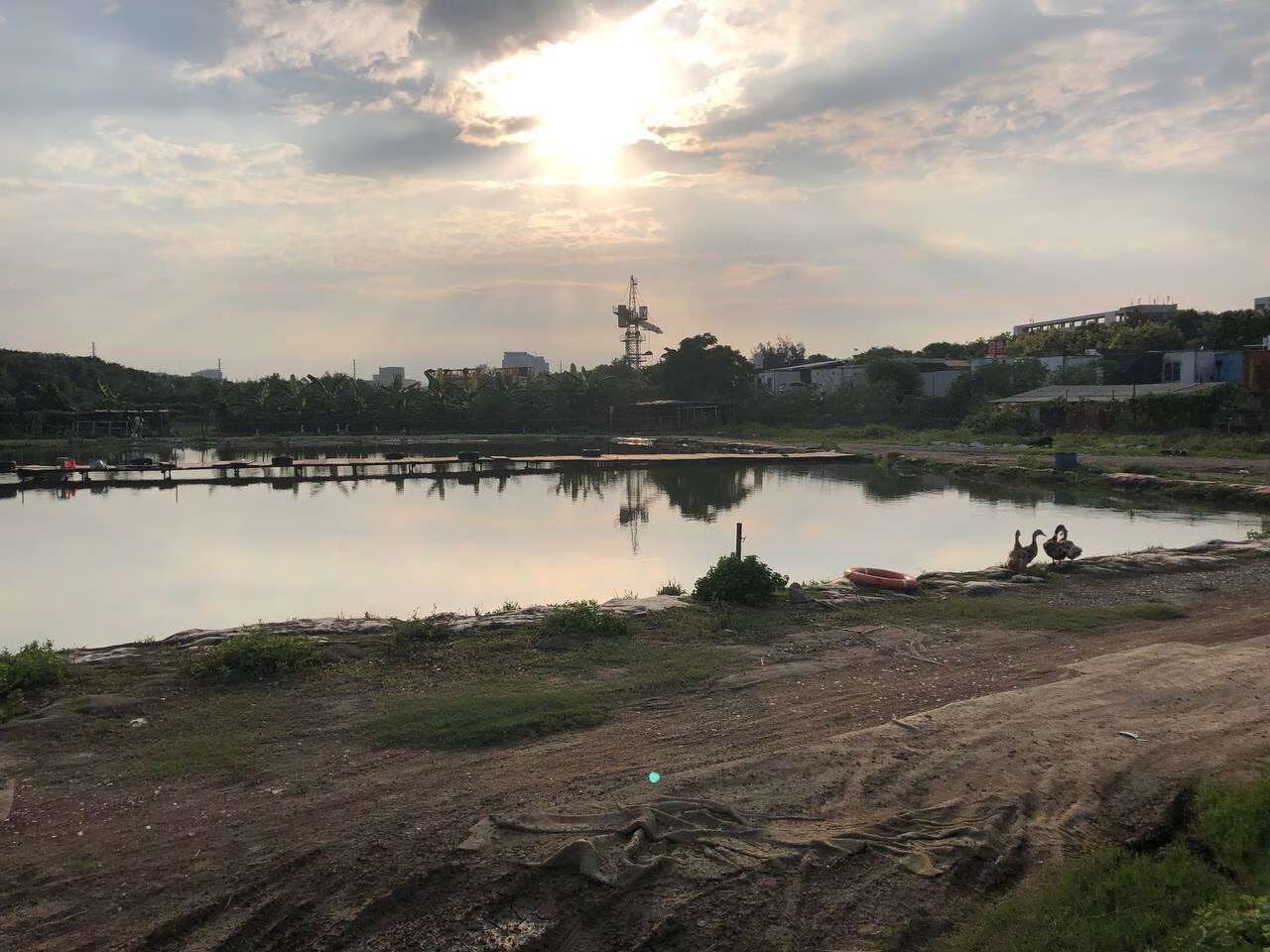 天乐钓场钓场环境缩略图