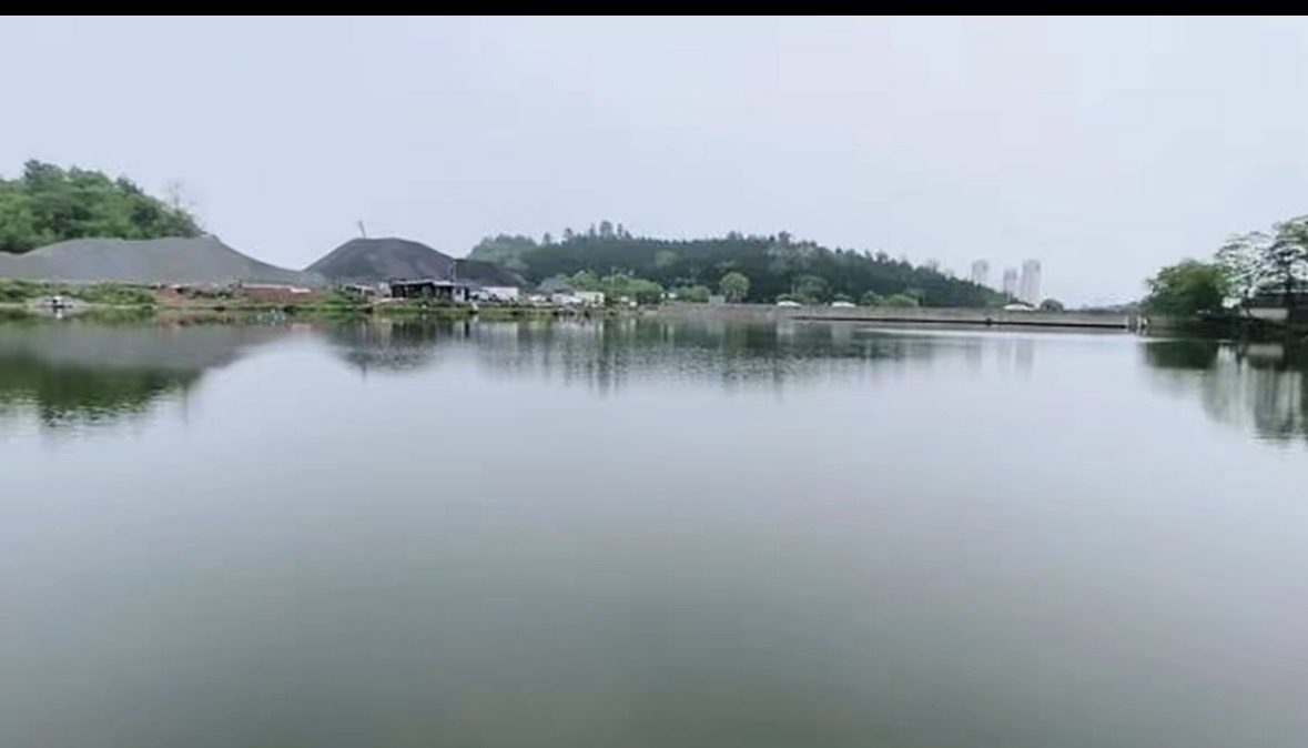 🐟爱吃鱼的猫🐈的真实钓鱼渔获图片 1