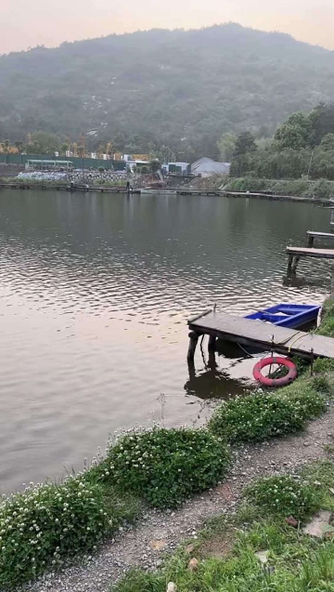 🐟爱吃鱼的猫🐈的真实钓鱼渔获图片 2