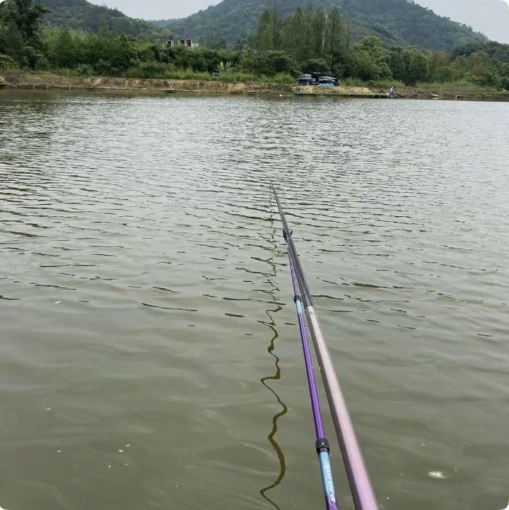 黑帆的真实钓鱼渔获图片 3