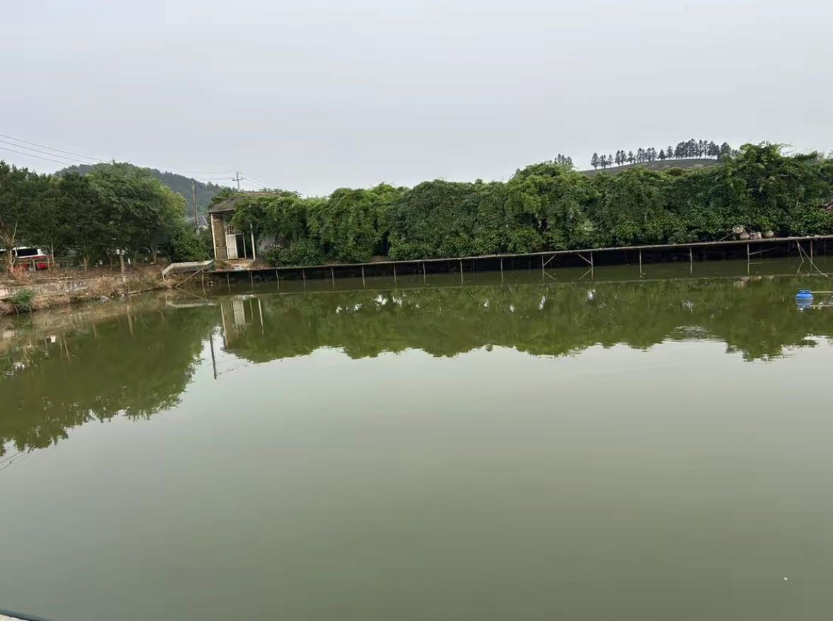 钓友宋玉伟分享的鱼情与渔获 宋玉伟发布的真实钓鱼渔获动态