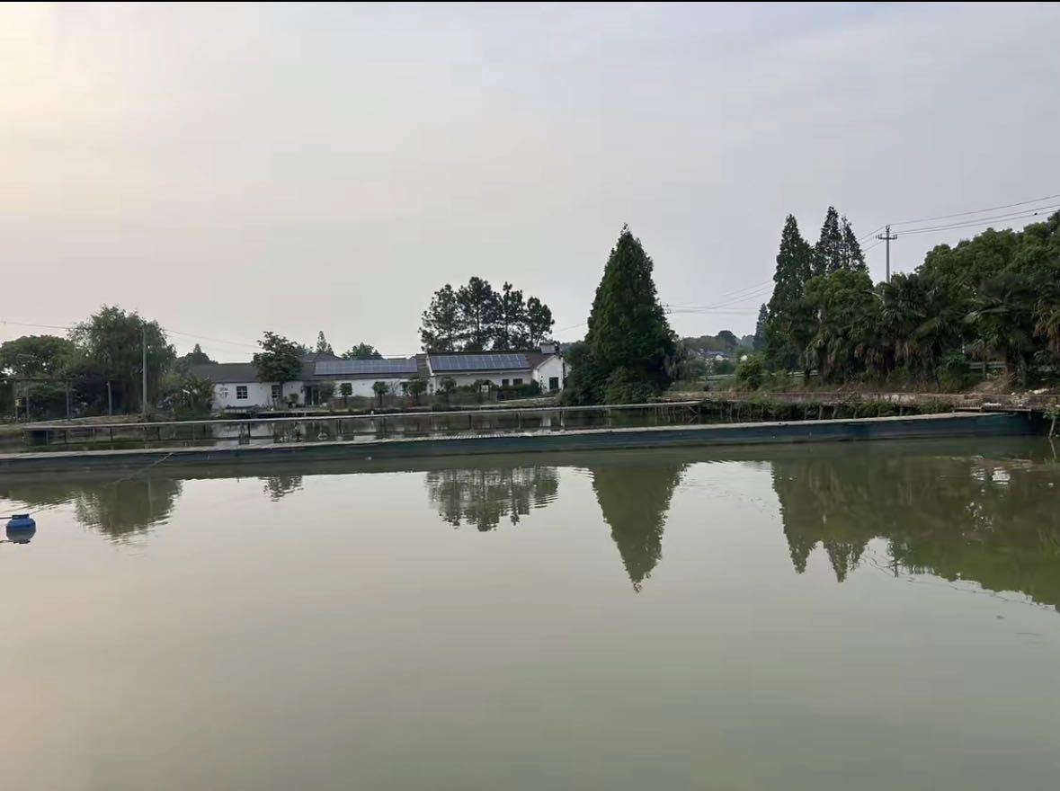 宋玉伟的真实钓鱼渔获图片 2