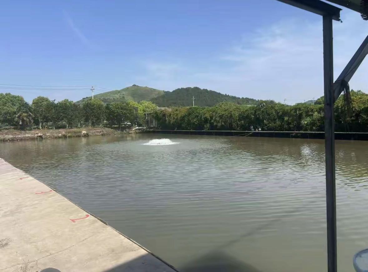 景虹钓场钓场环境缩略图