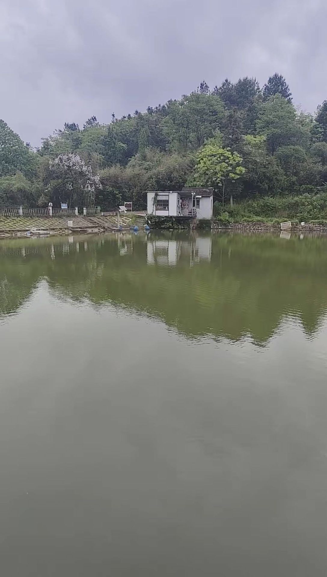 王师傅的真实钓鱼渔获图片 2