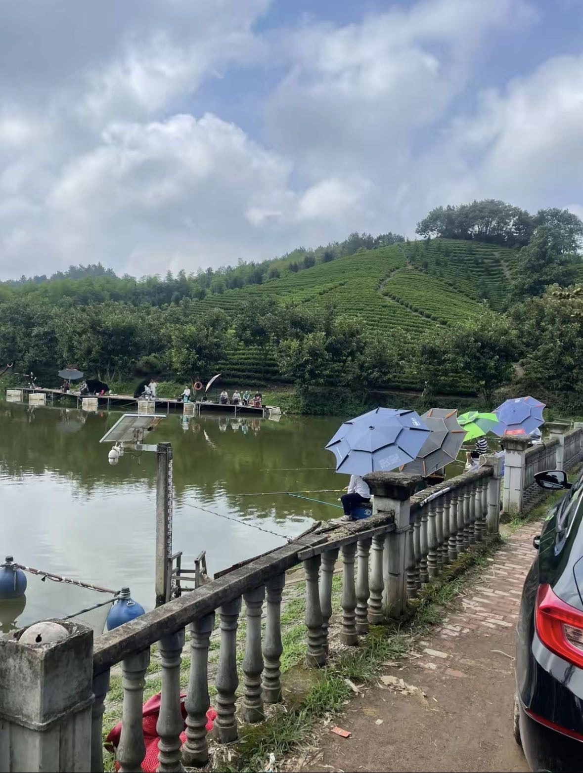 双友休闲垂钓园钓场环境缩略图