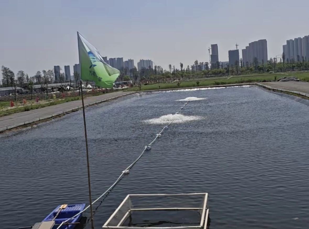 海盐县武原万鲤垂钓俱乐部钓场环境缩略图