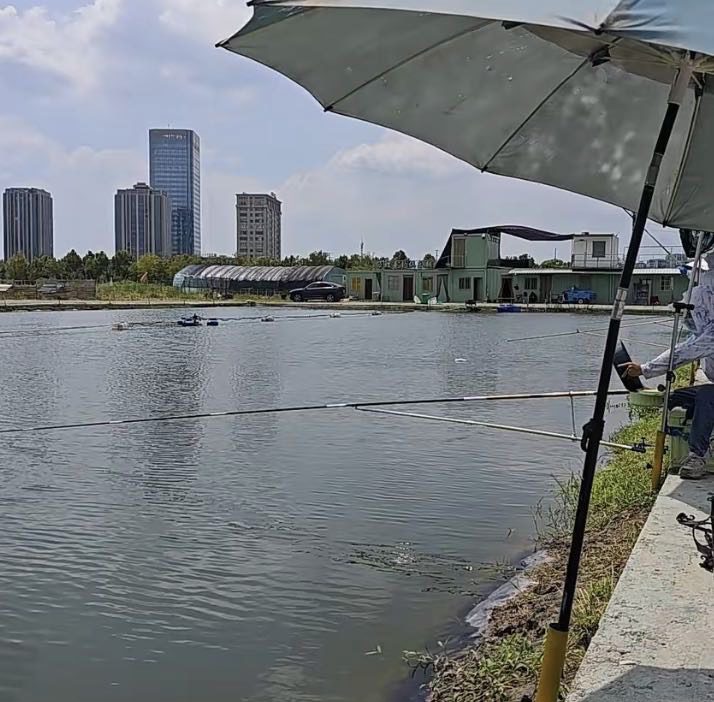 海盐县武原万鲤垂钓俱乐部钓场环境缩略图