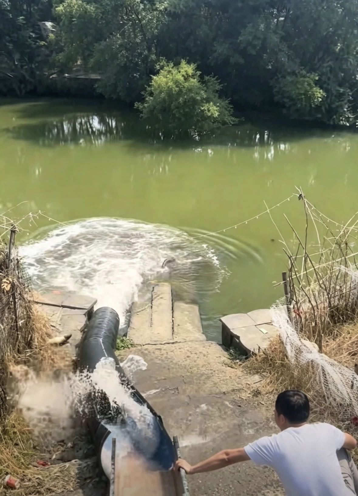 加元休闲钓场钓点图片