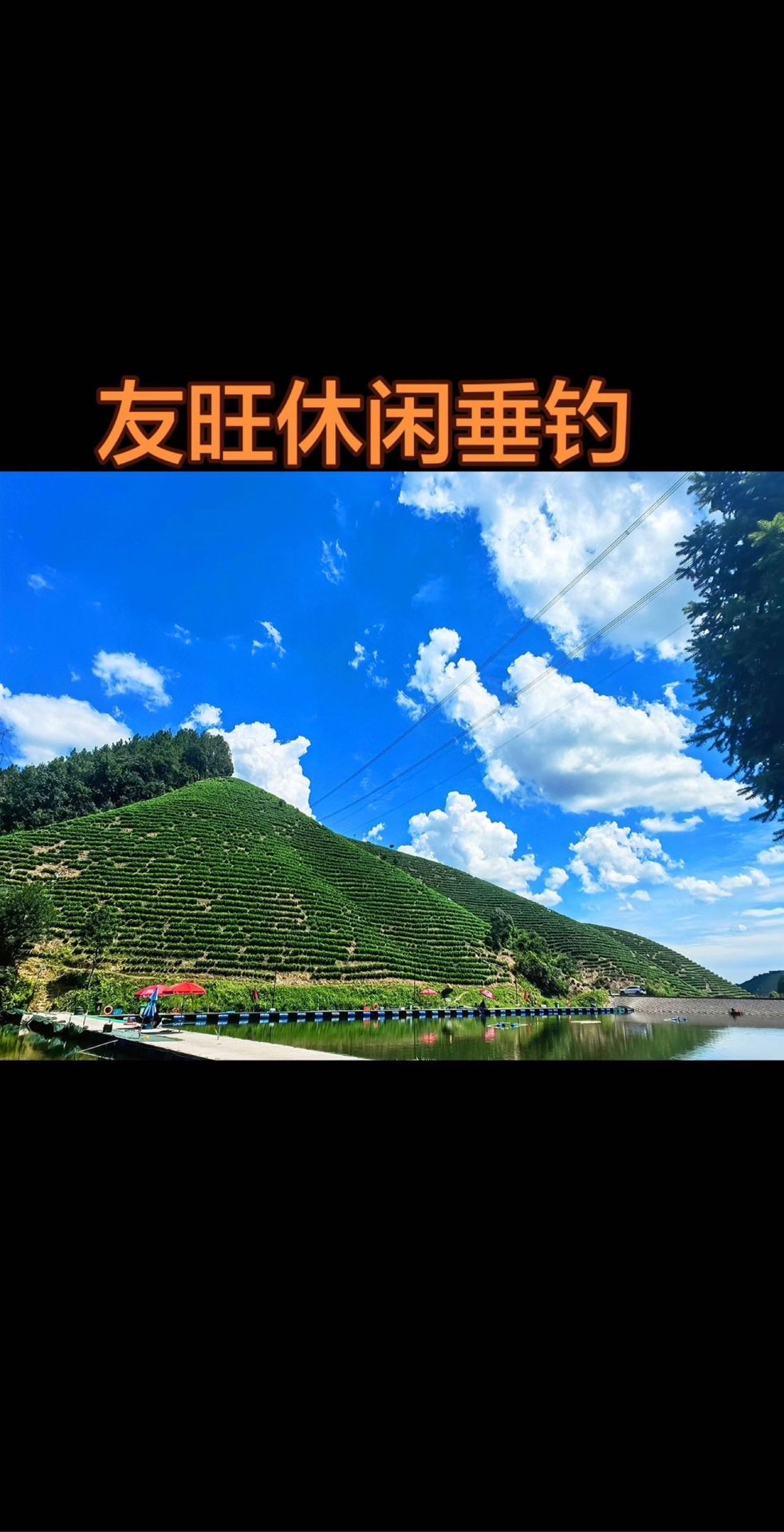 鱼我所欲也的真实钓鱼渔获图片 2