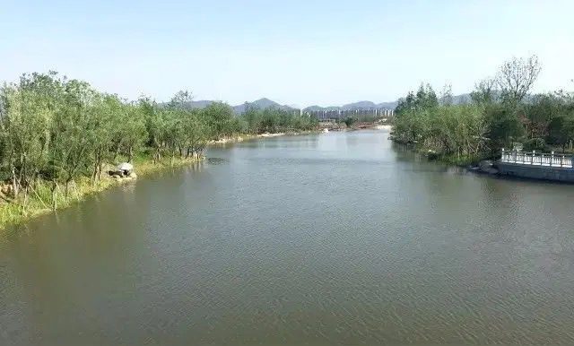 余杭塘河免费钓点钓场环境照片