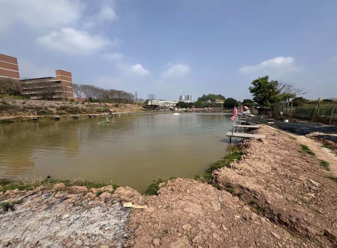 東桥钓鱼场（东桥钓鱼场）钓场环境缩略图
