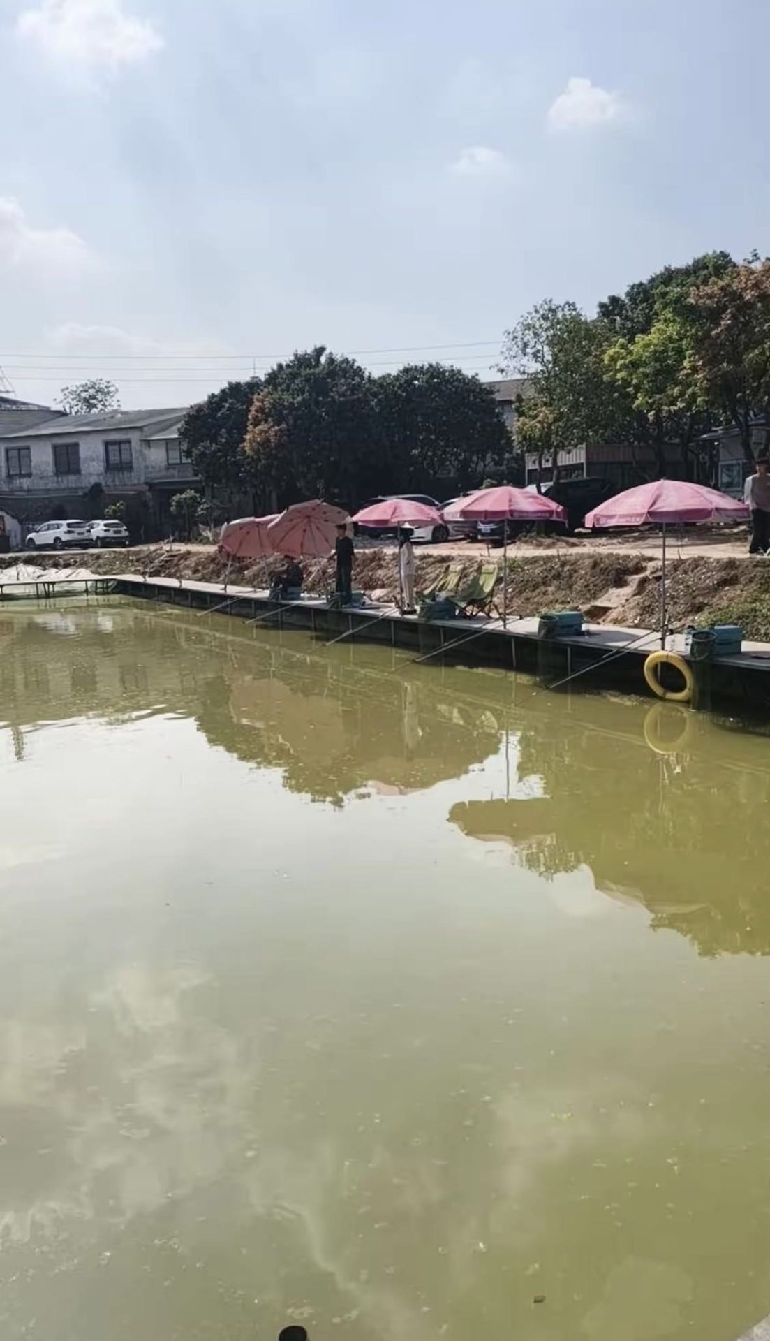 東桥钓鱼场（东桥钓鱼场）钓场环境缩略图