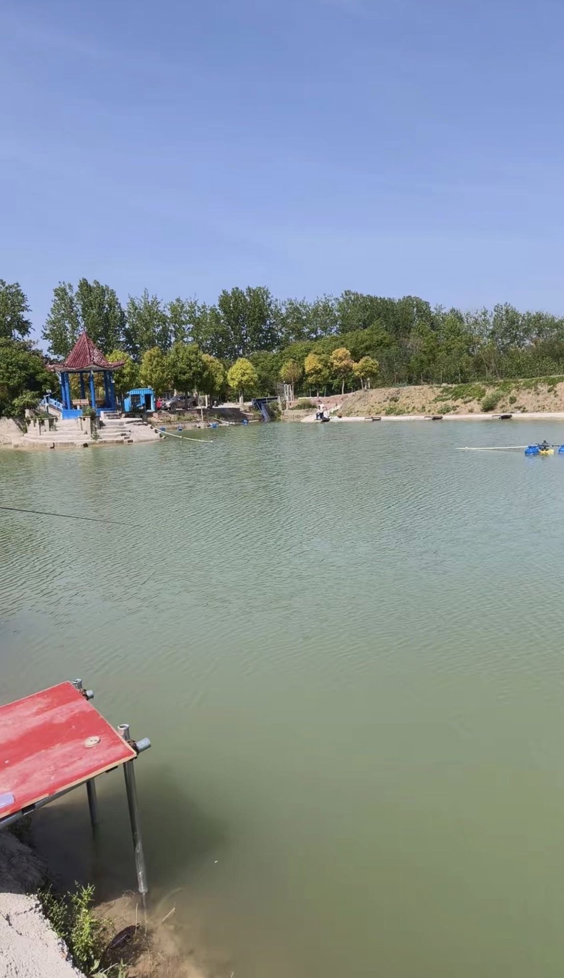 碧水阁休闲垂钓园钓场环境照片