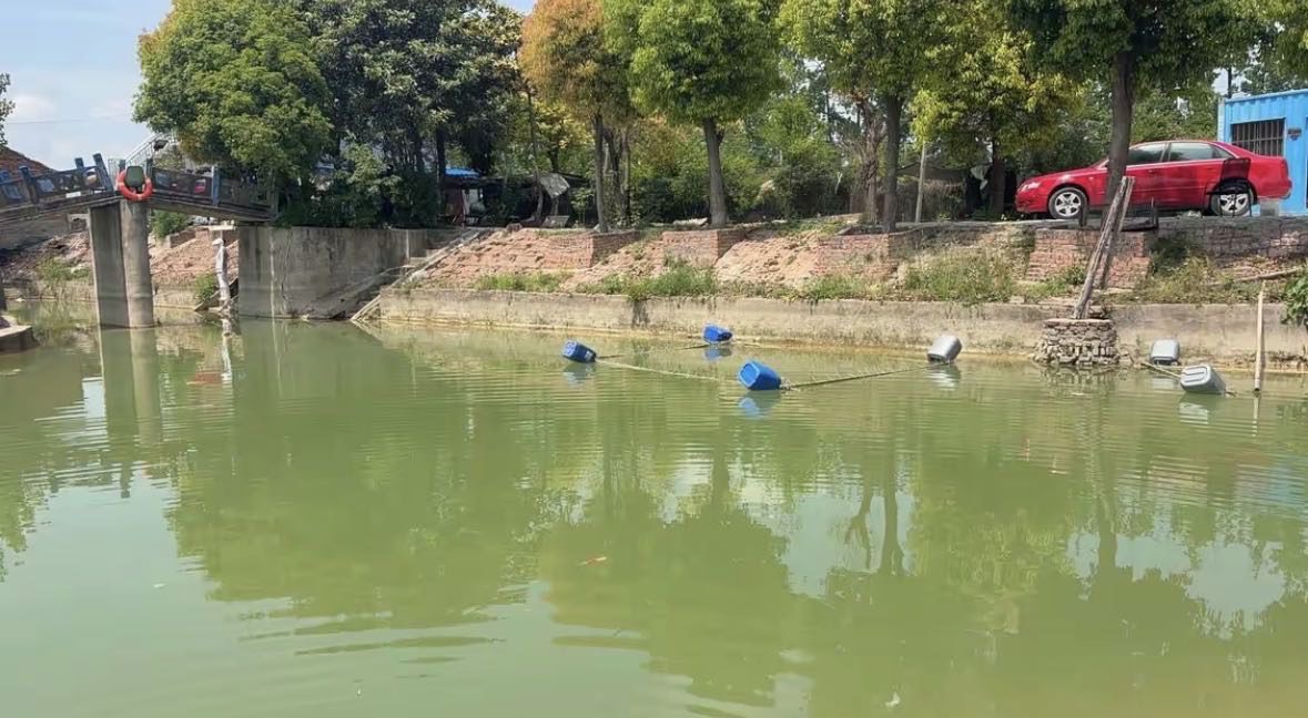 碧水阁休闲垂钓园钓场环境缩略图