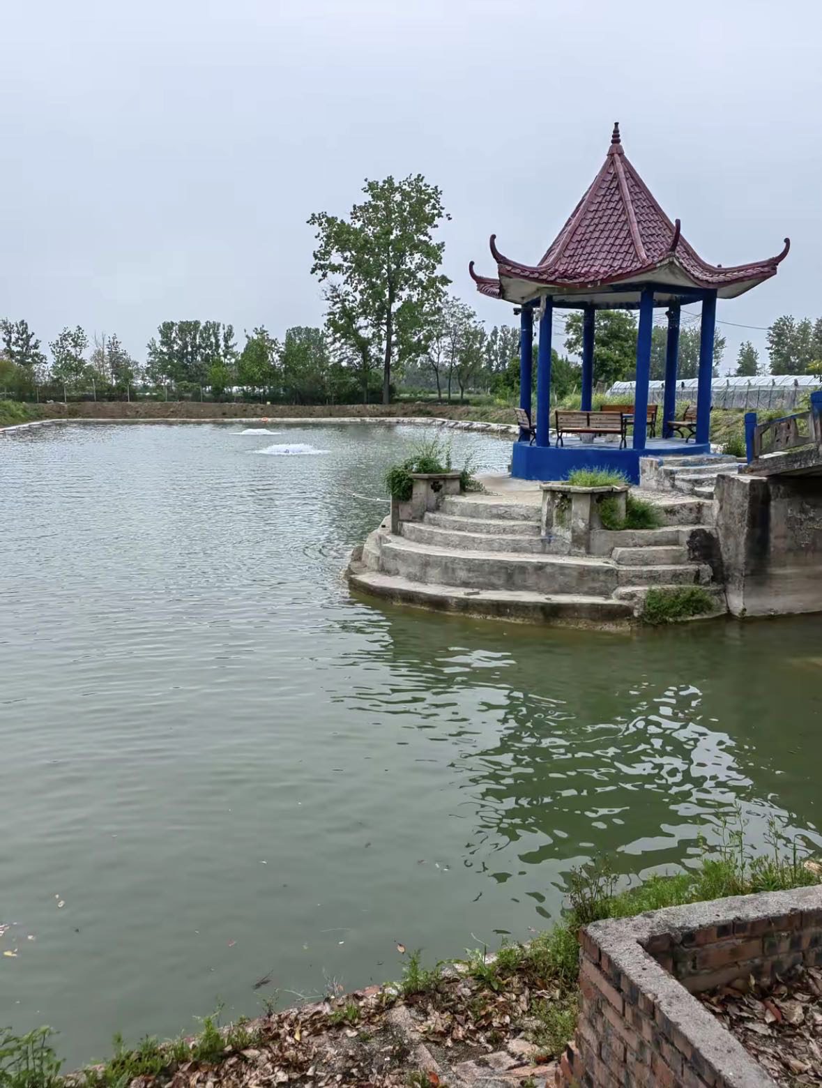 碧水阁休闲垂钓园钓场环境缩略图