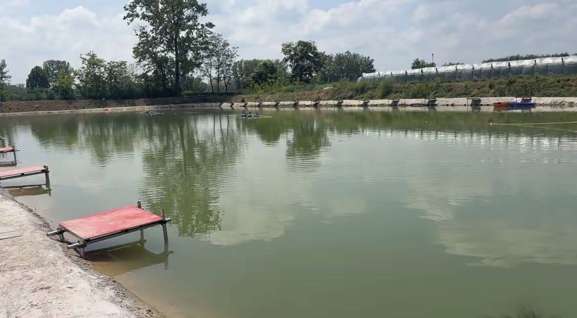 碧水阁休闲垂钓园钓场环境缩略图