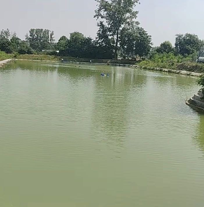 碧水阁休闲垂钓园钓场环境缩略图