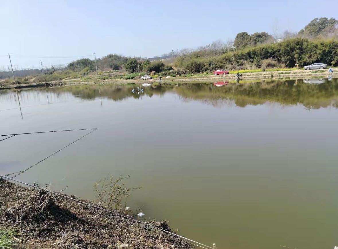 碧水蓝天垂钓中心钓场环境缩略图