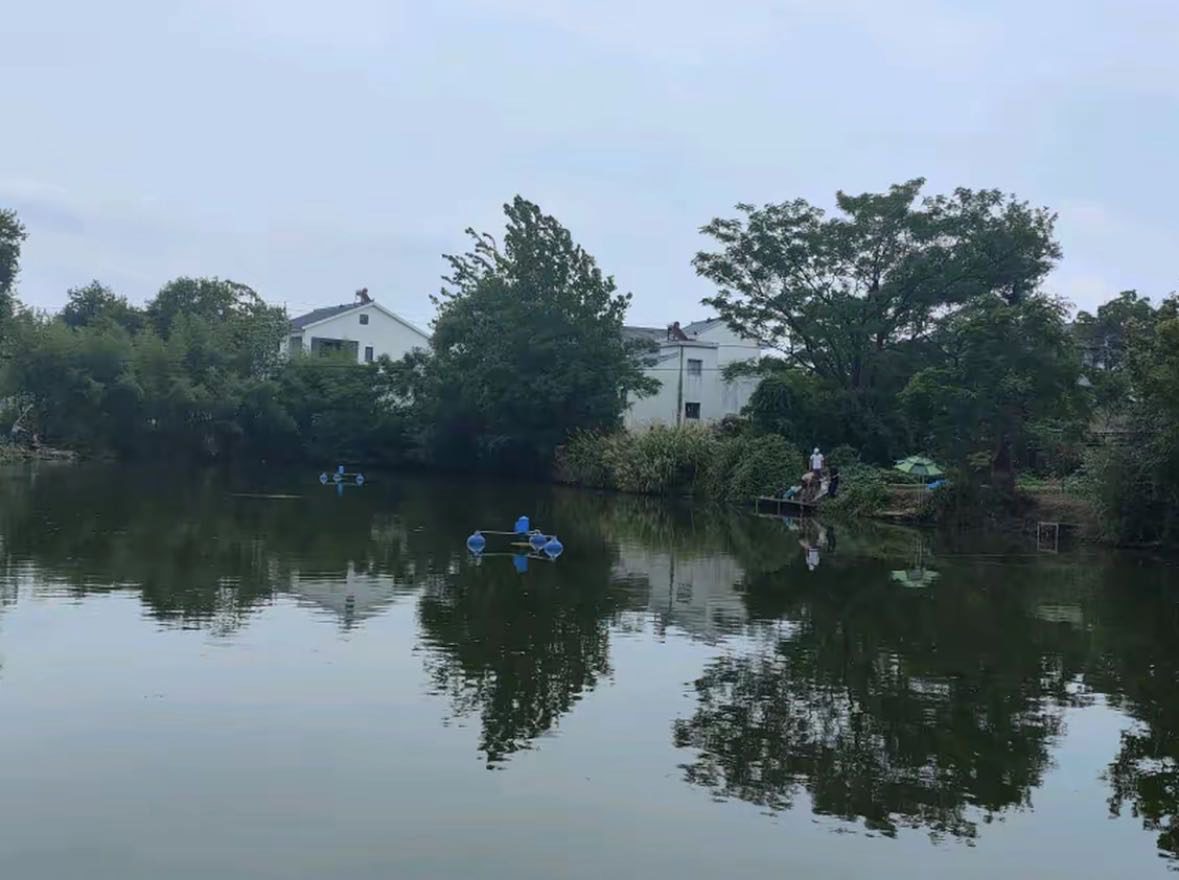 阿峰垂钓中心钓场环境照片