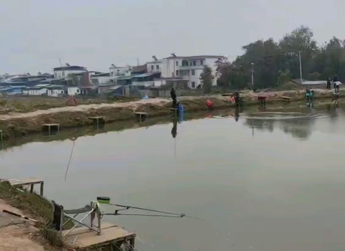 阿峰垂钓中心钓场环境缩略图