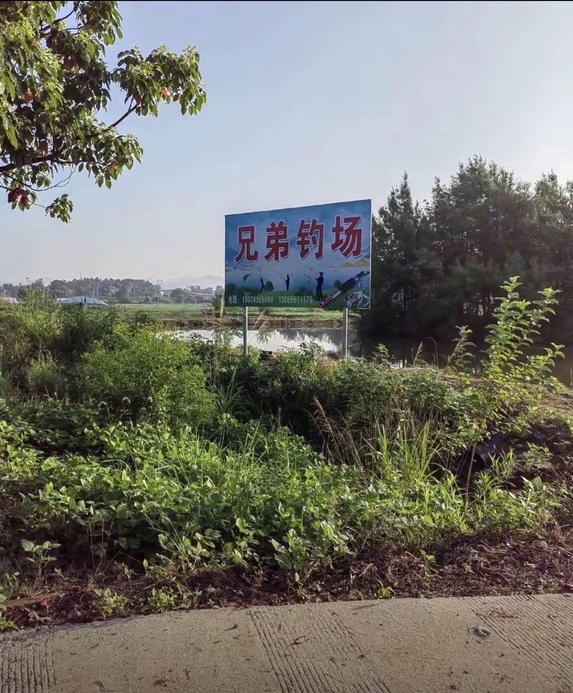 兄弟钓场钓场环境照片