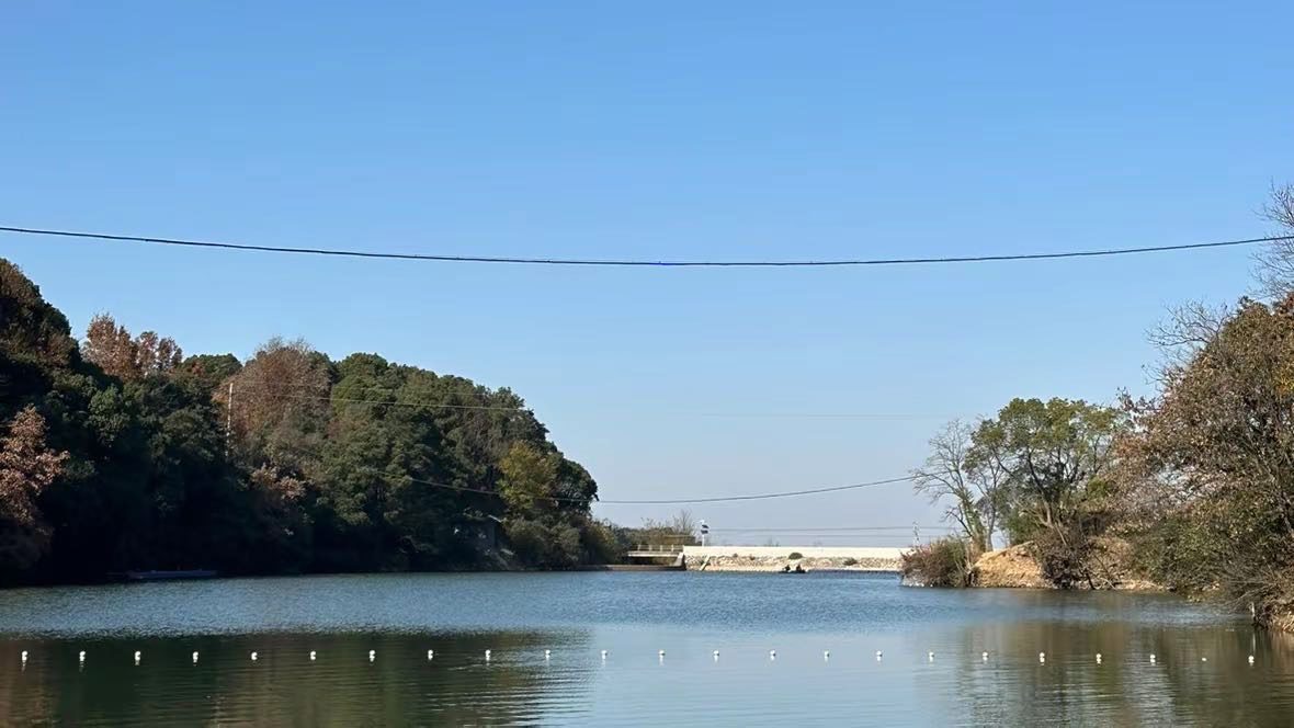 奉化西坞枫杨钓场|钓场环境、鱼情与钓鱼体验 奉化西坞枫杨钓场钓场环境照片