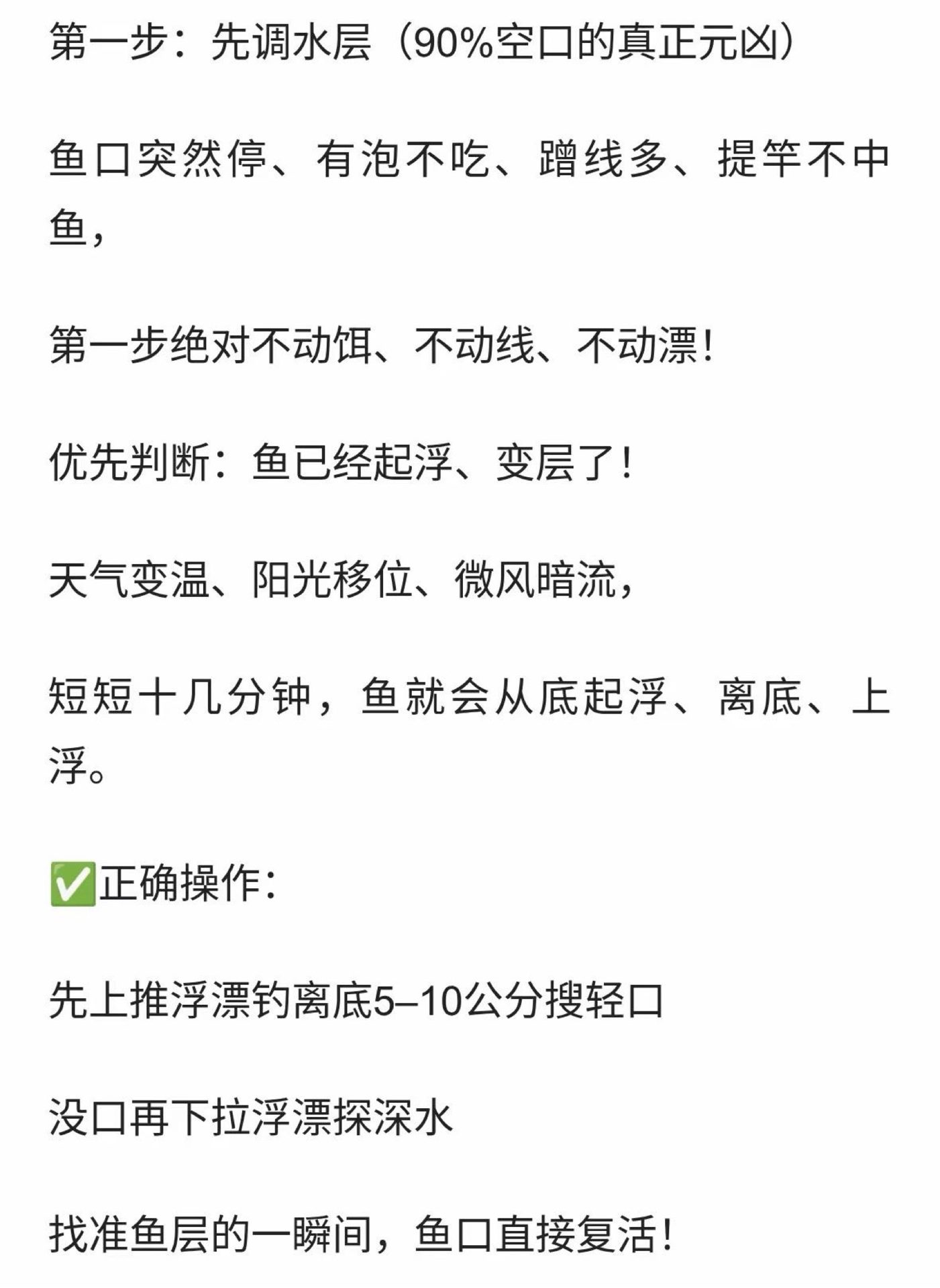 新时代的真实钓鱼渔获图片 2