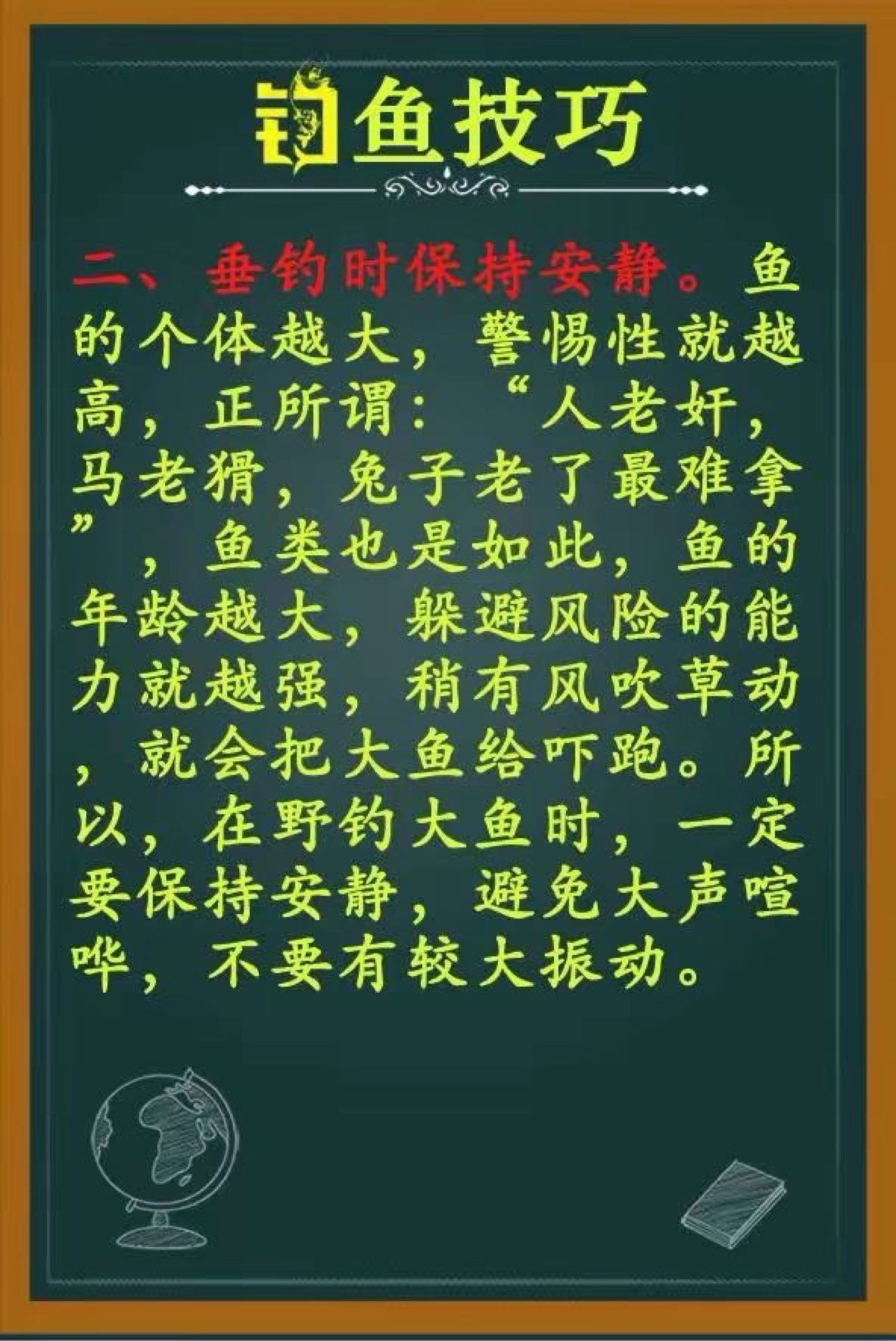 钓鱼佬宋的真实钓鱼渔获图片 2