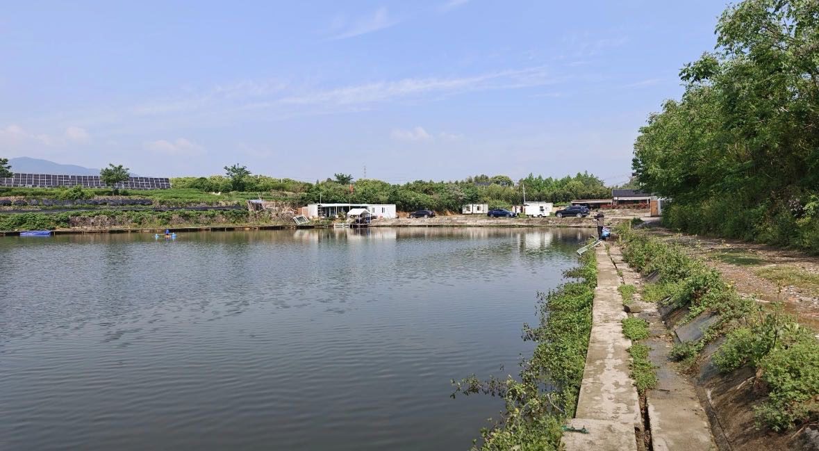 杭州大鱼海塘垂钓中心钓场环境缩略图