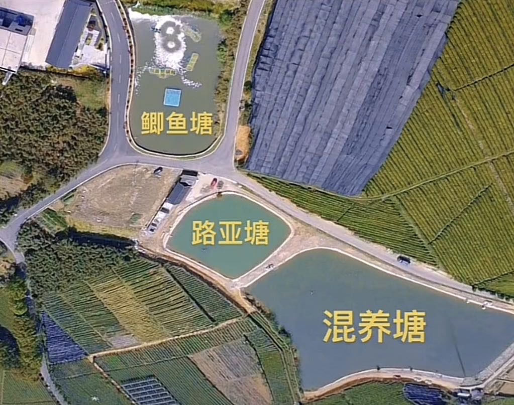 杭州大鱼海塘垂钓中心钓场环境缩略图