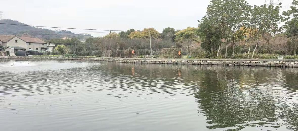 贝丰钓场钓场环境缩略图