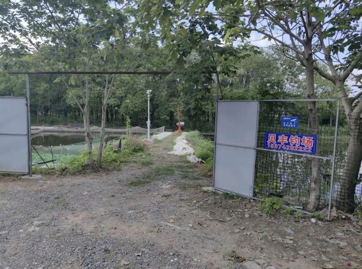 贝丰钓场钓场环境缩略图