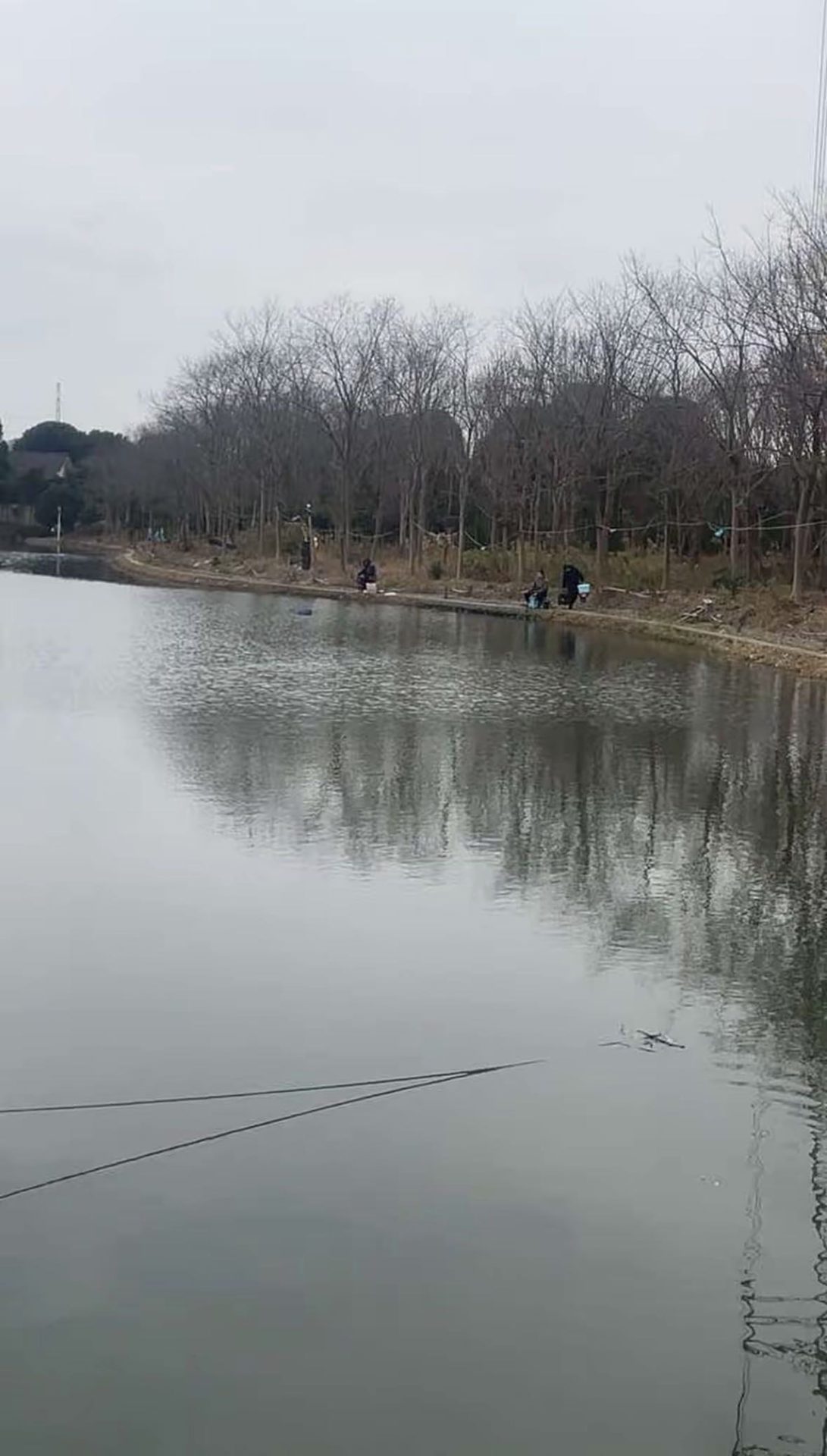 贝丰钓场钓场环境缩略图