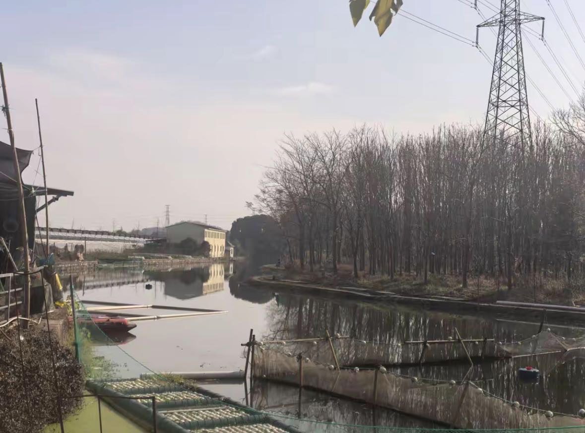 贝丰钓场钓场环境缩略图