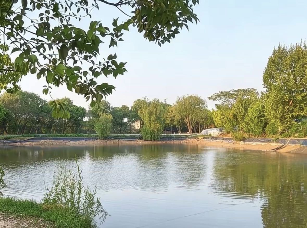 杭州枫影路亚基地钓场环境缩略图