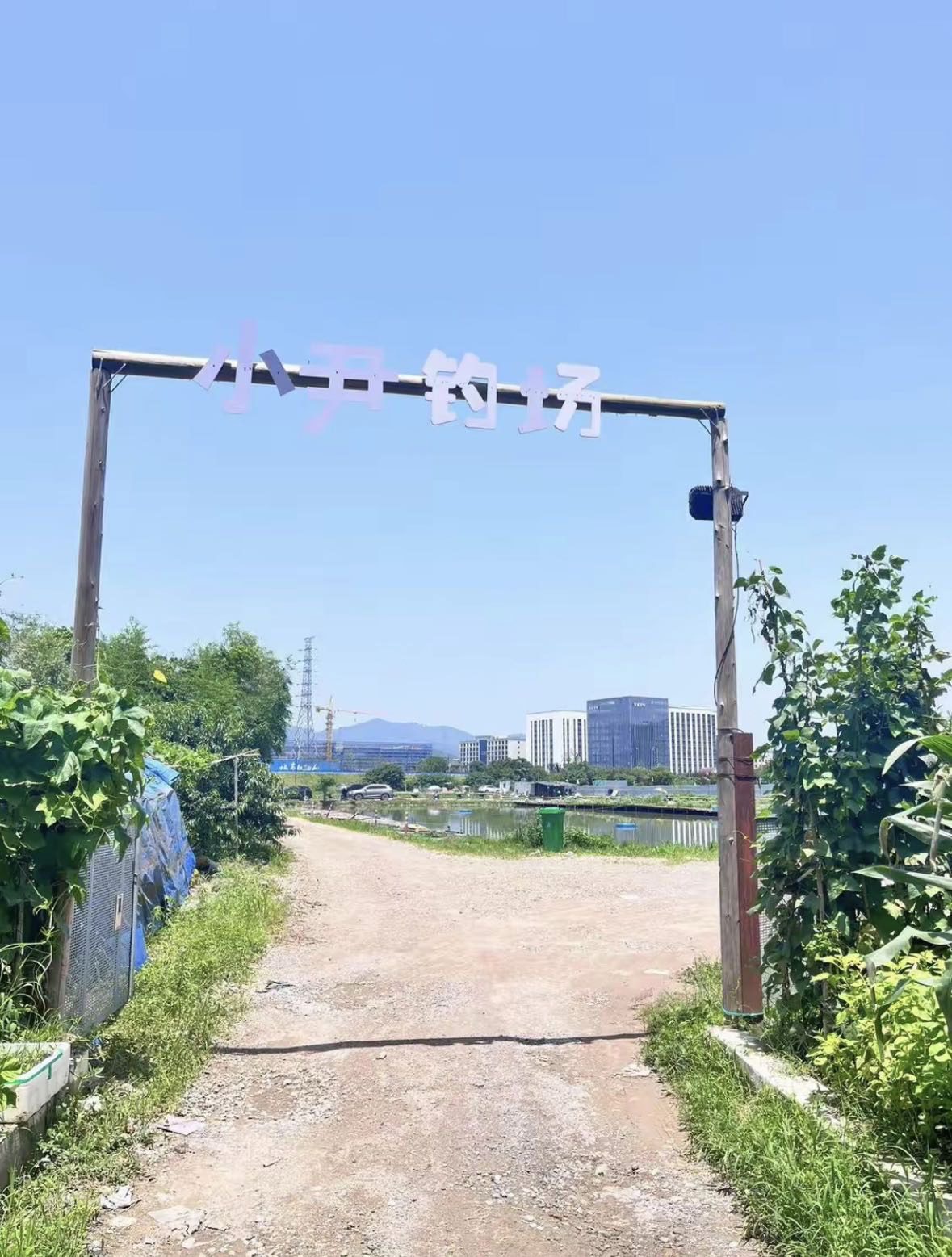 小尹钓场钓场环境照片