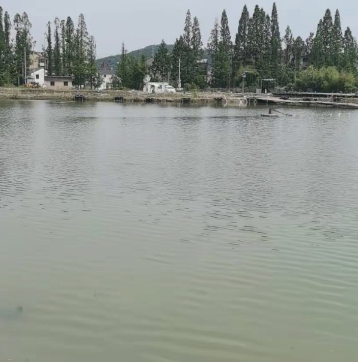 小尹钓场钓场环境缩略图