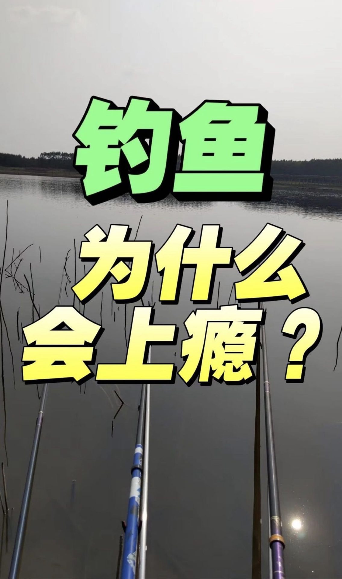 钓鱼佬宋的真实钓鱼渔获图片 1