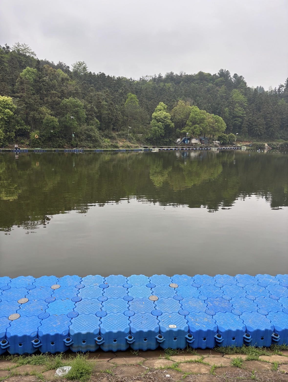 银子龙水库钓场钓场环境照片