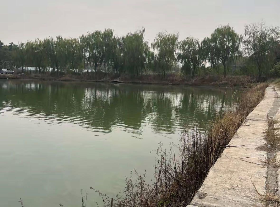鄂渔路亚基地钓场环境缩略图
