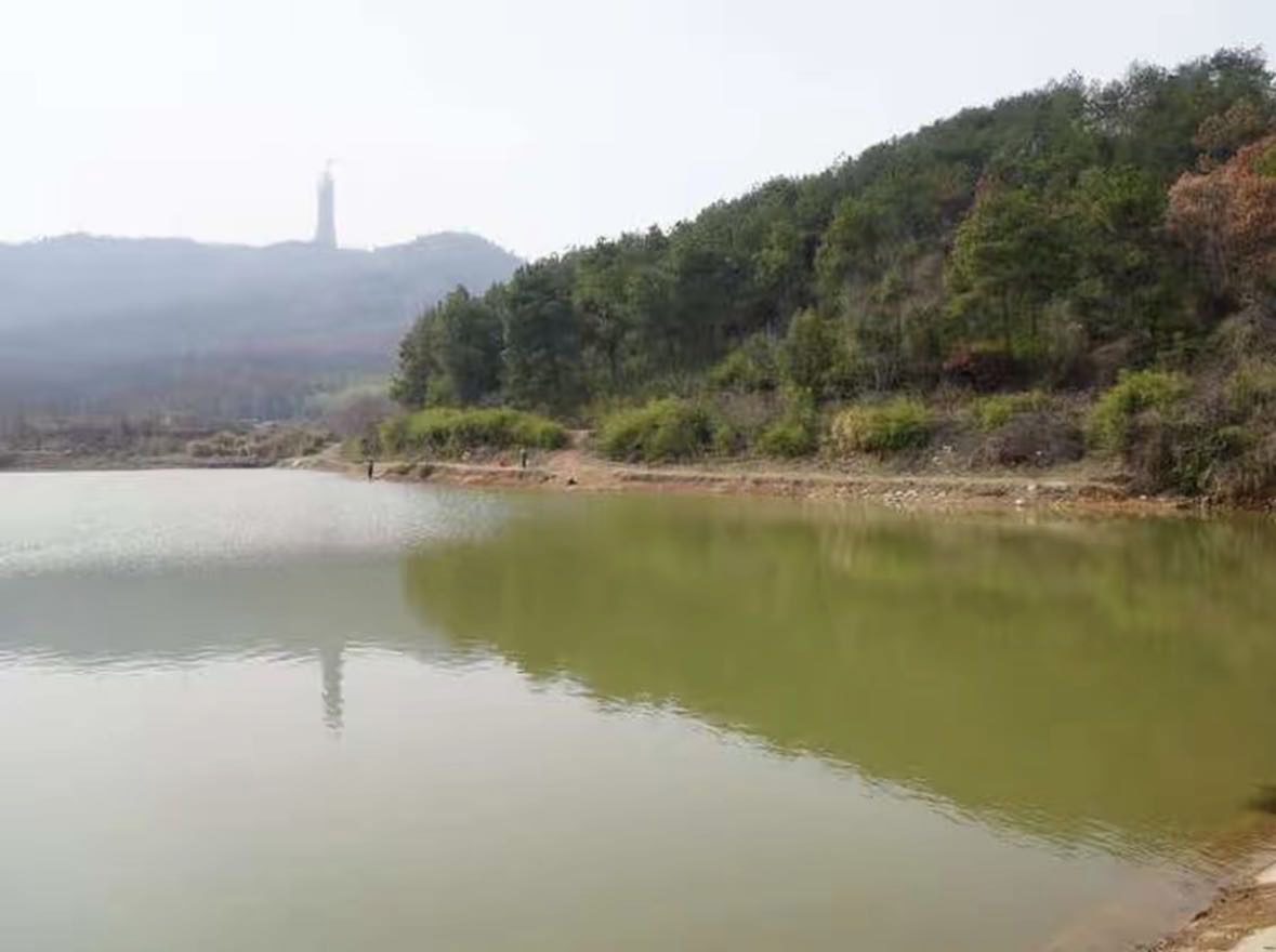 SZS路亚基地钓场环境缩略图