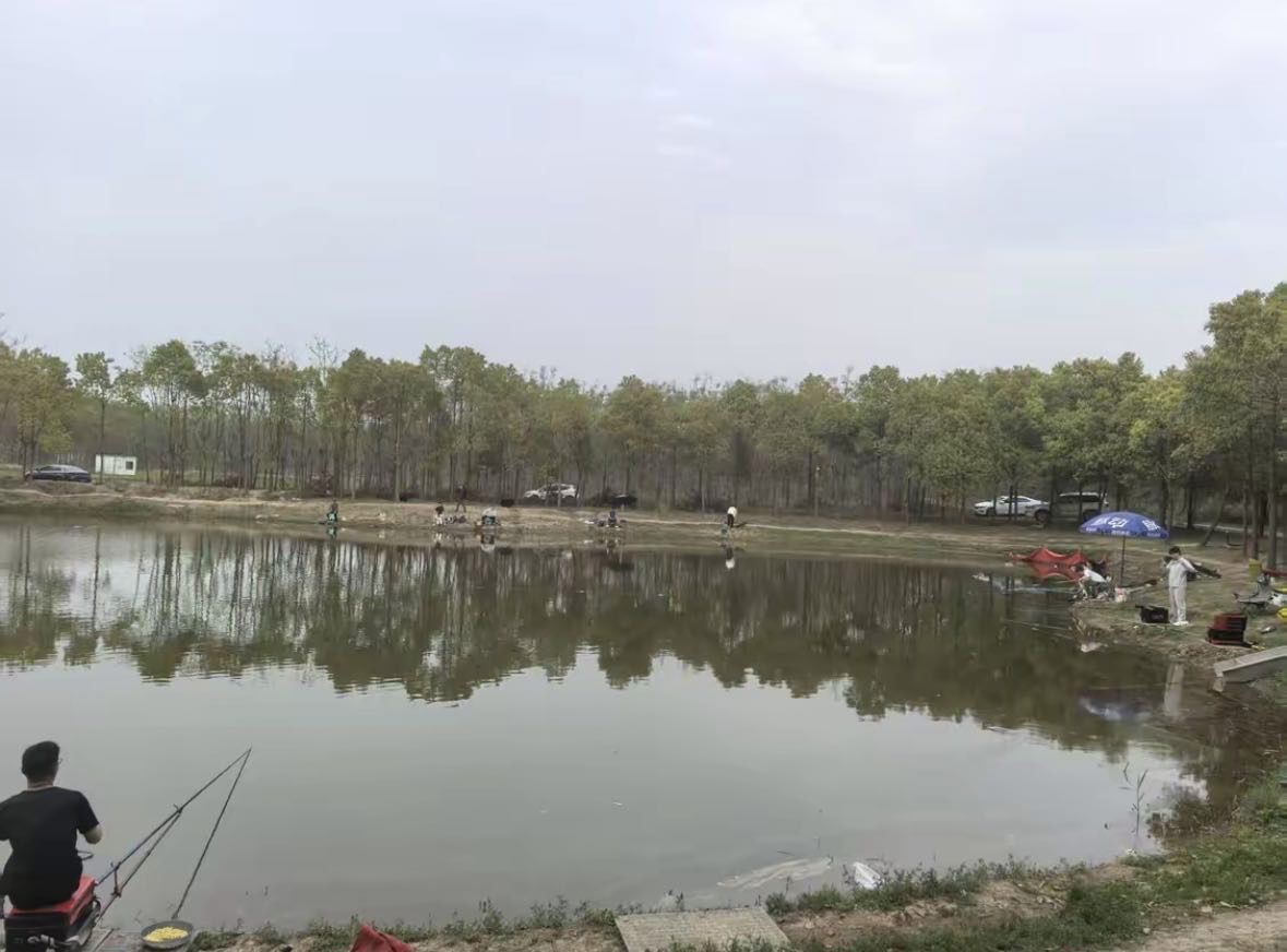 毛铺休闲垂钓基地钓场环境缩略图