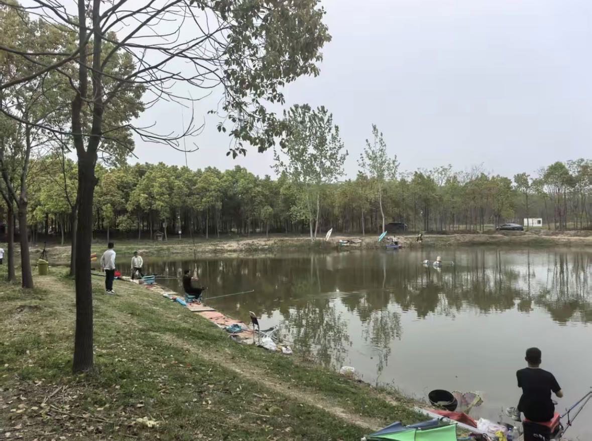 毛铺休闲垂钓基地钓场环境缩略图