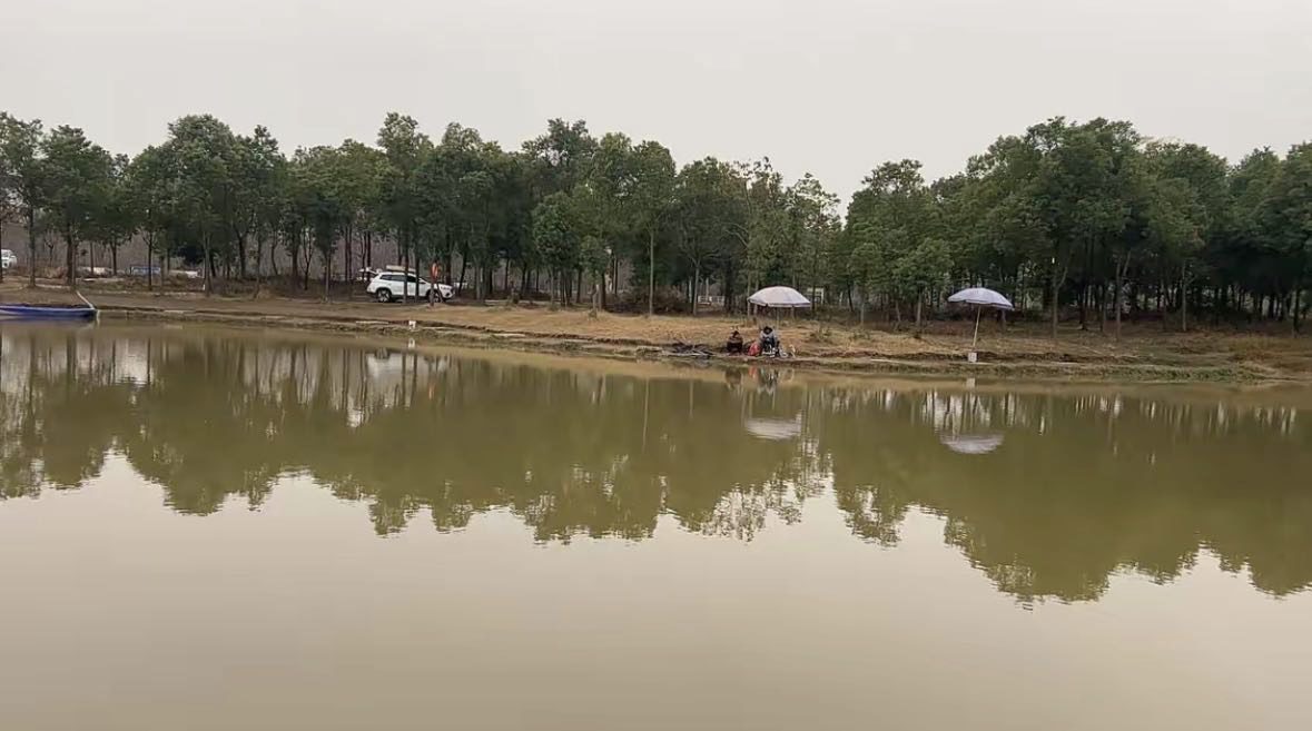 毛铺休闲垂钓基地钓场环境缩略图