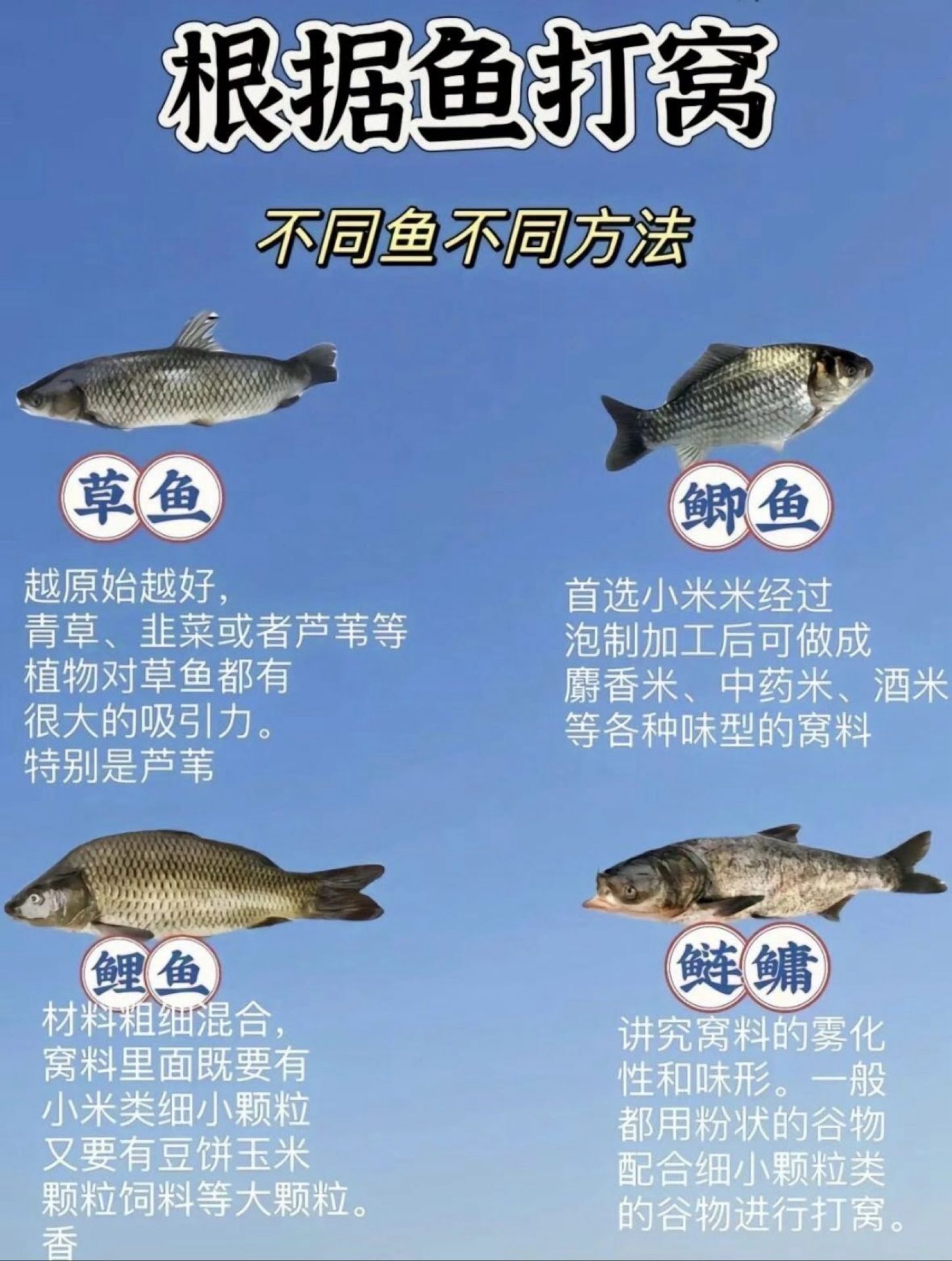 钓鱼佬宋分享的鱼情、钓点与渔获 钓鱼佬宋的真实钓鱼渔获图片 1