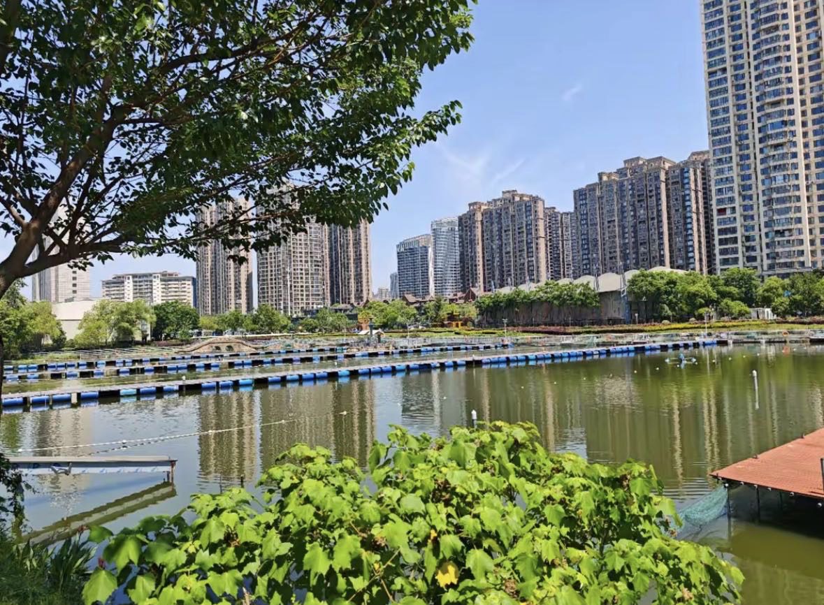 张之洞遛鱼城市钓场钓场环境缩略图