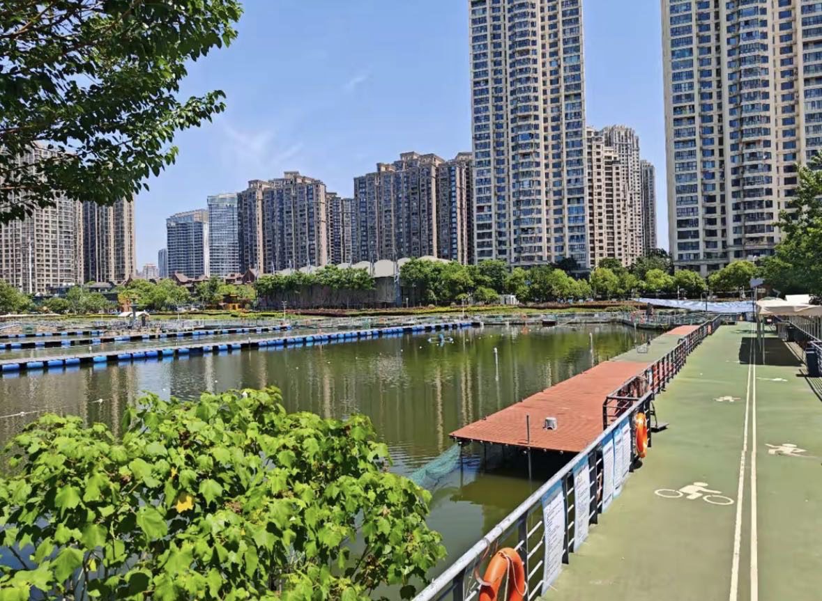 张之洞遛鱼城市钓场钓场环境缩略图